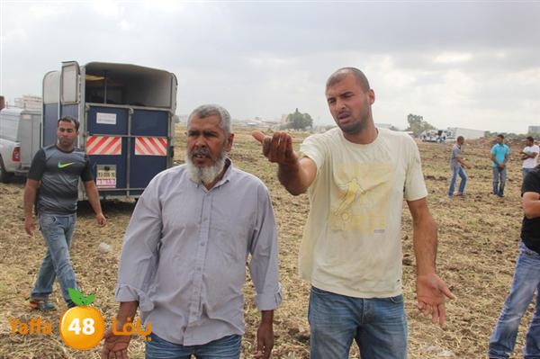 khoyoul lud 0610 (10).JPG